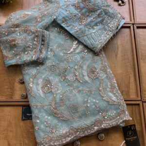 Powder Blue Net Peacock Feather Design Saree with Stitched Blouse